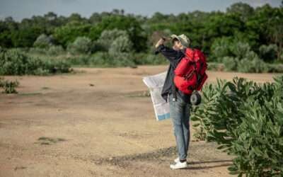 Sustainable Travel: How to Explore the World Responsibly