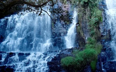 Burundi Travel Guide