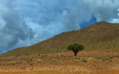 Eritrea Travel Guide