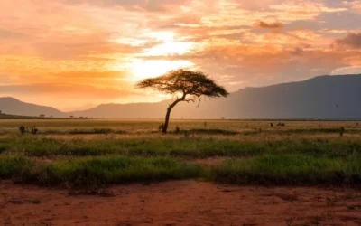 Kenya Travel Guide