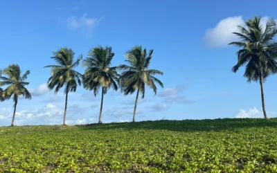 Liberia Travel Guide