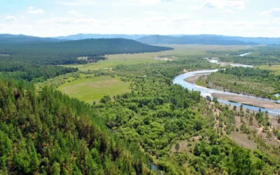 Mongolia Travel Guide