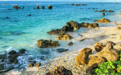 Nauru Travel Guide