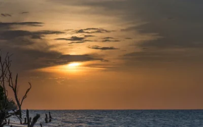 Suriname Travel Guide