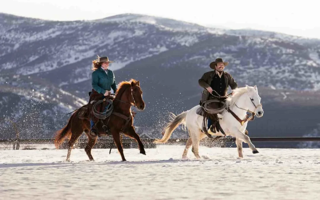 How Far Can a Horse Travel in a Day? (Breed Comparison, 20% Rule & Record-Breaking Rides)