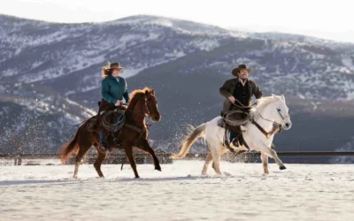 How Far Can a Horse Travel in a Day? (Breed Comparison, 20% Rule & Record-Breaking Rides)