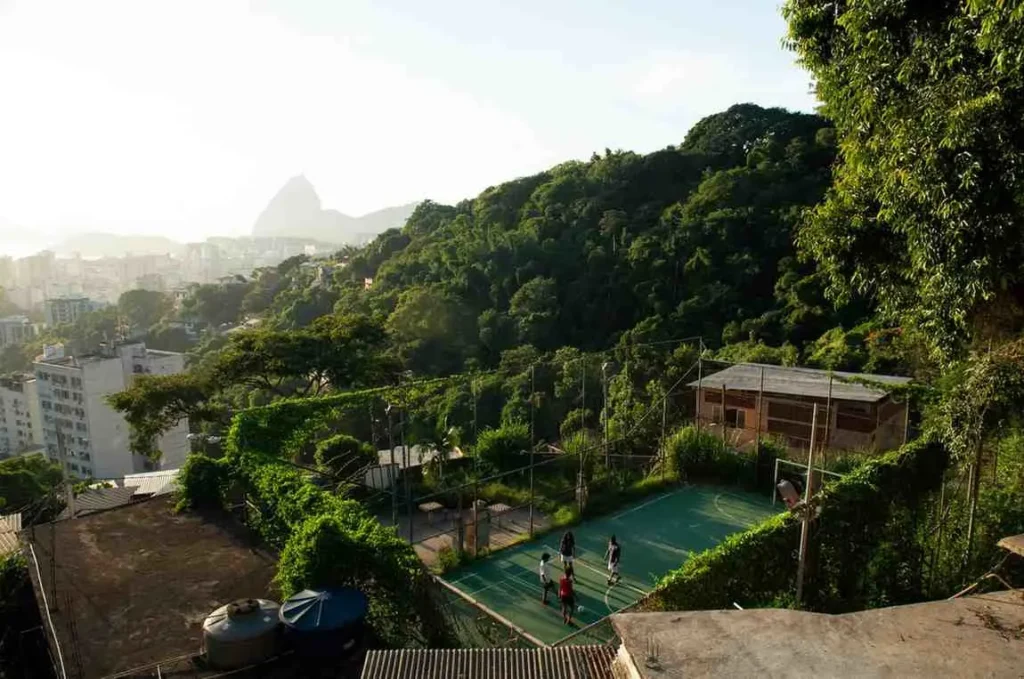 São Paulo Concrete Jungle Survival