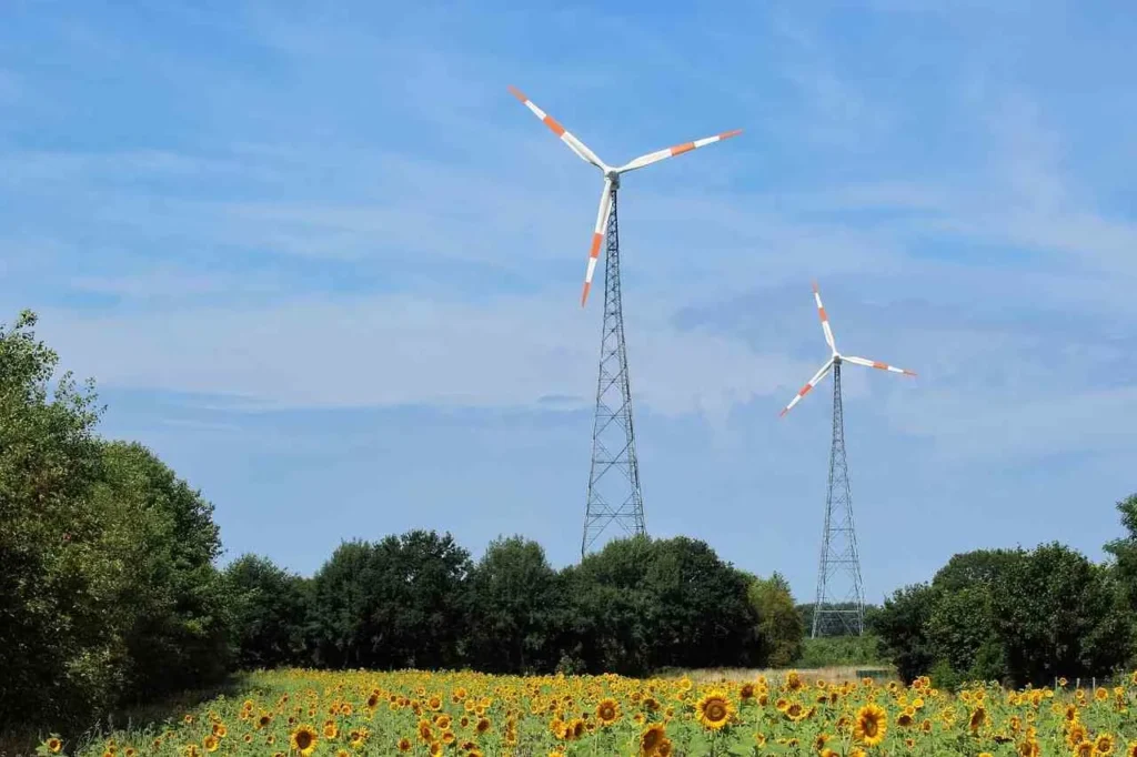 Climate Change Reality in Germany (2024 Updates)