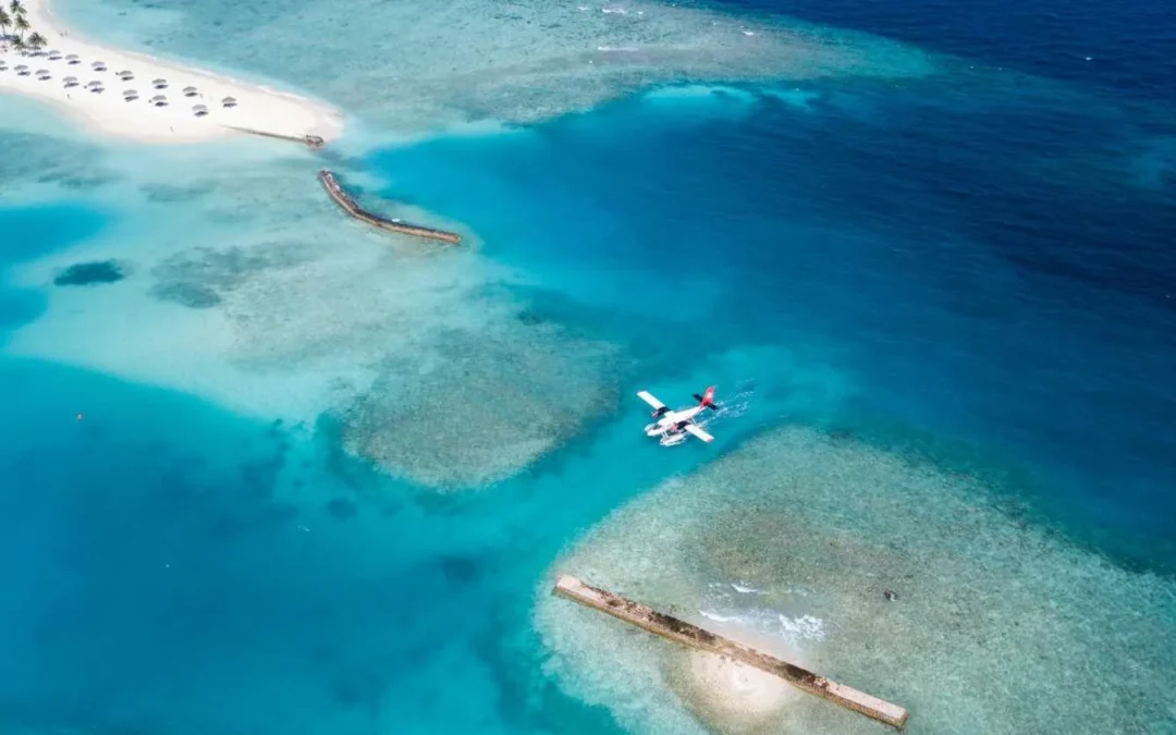 Flights to SVD (Saint Vincent and the Grenadines) – The Ultimate 2025 Traveler’s Guide