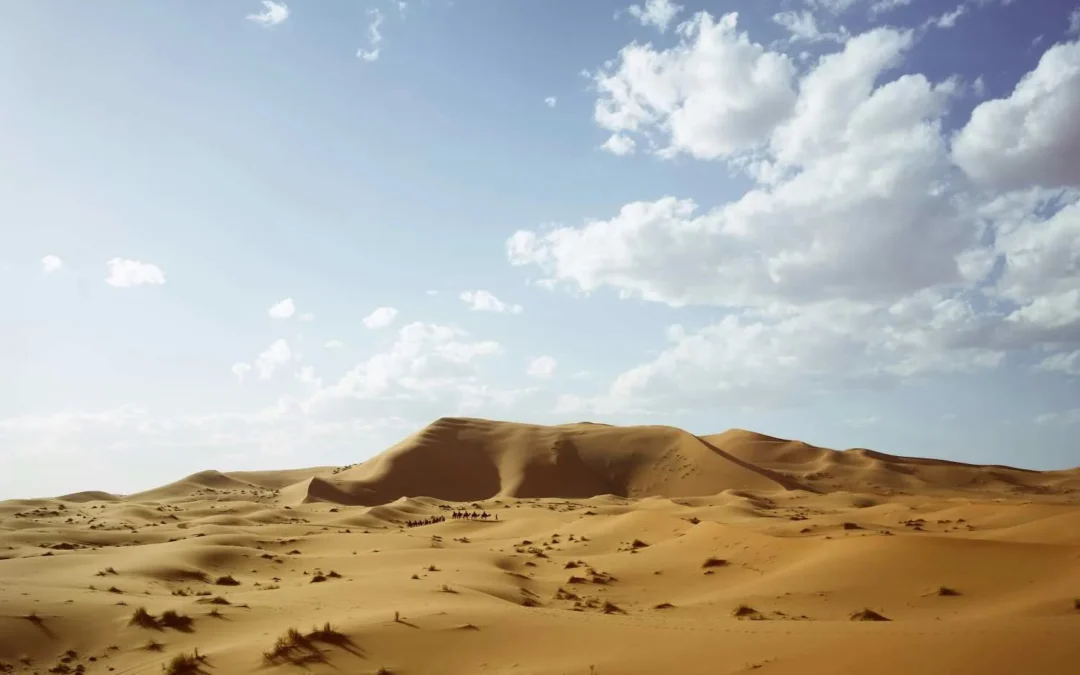 Forecast Doha 2025 Weather Survival Guide – Extreme Heat & Sandstorm Alerts