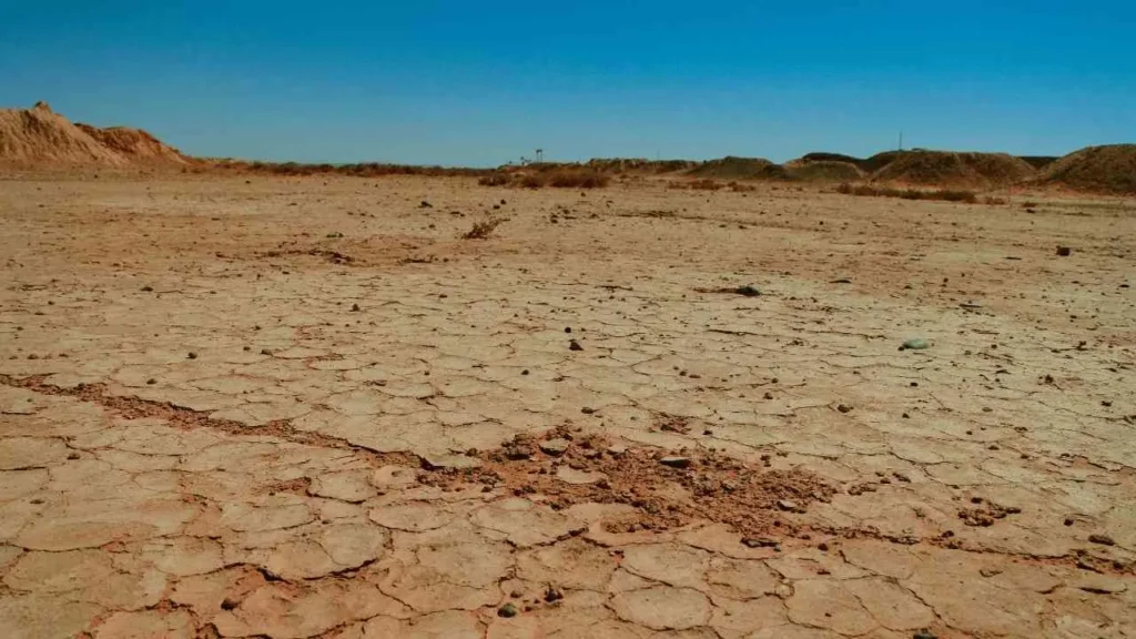 Proven Dry Season Strategies