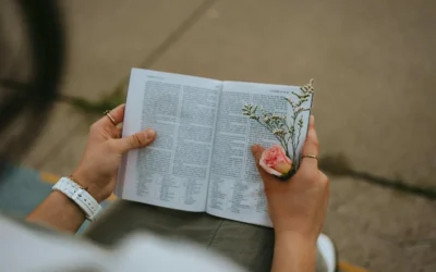 The Dominican Republic Holiday Bible: Local Secrets & Survival Guide