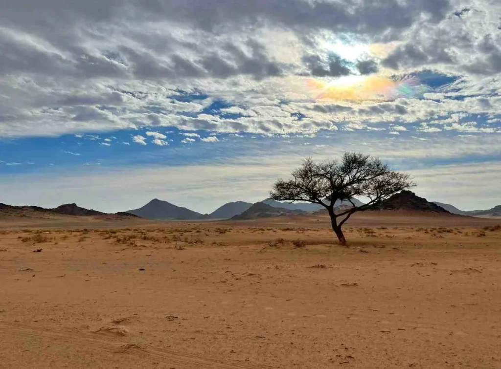 The Dry Season (January-May) More Than Just Sunshine