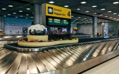 The Insider’s Bible to Pisa Airport Secrets Even Airport Staff Won’t Tell You