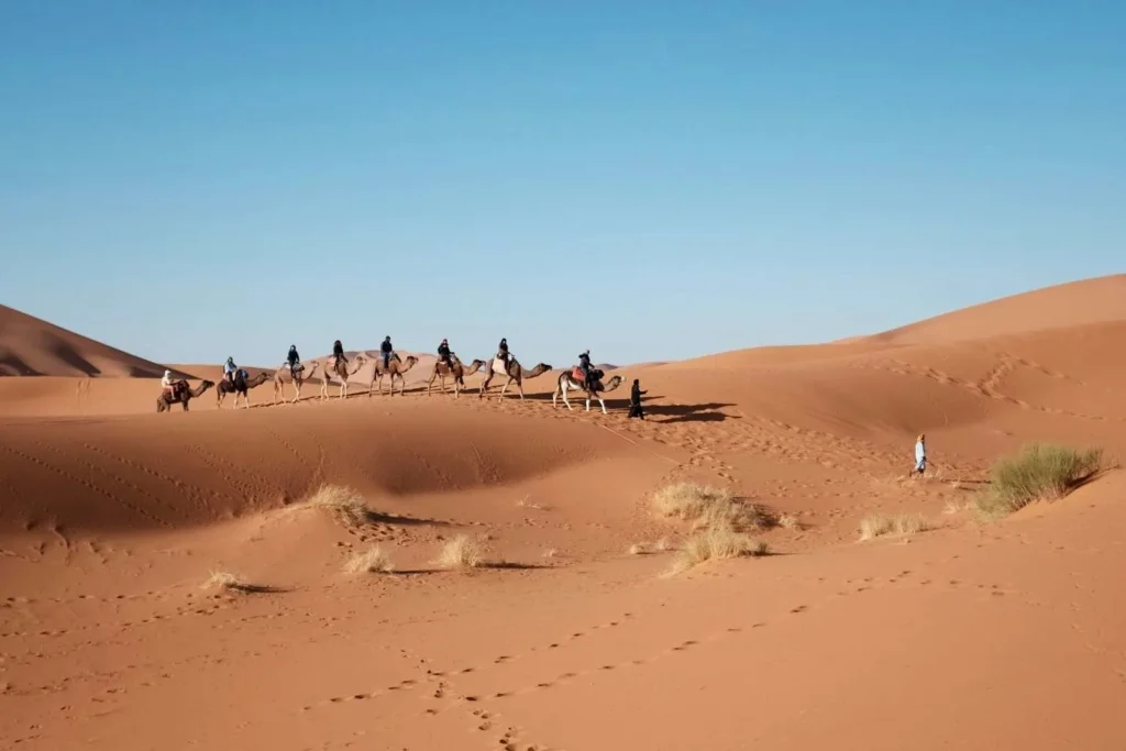 Tours Sahara Soul Travel for ethical desert trips