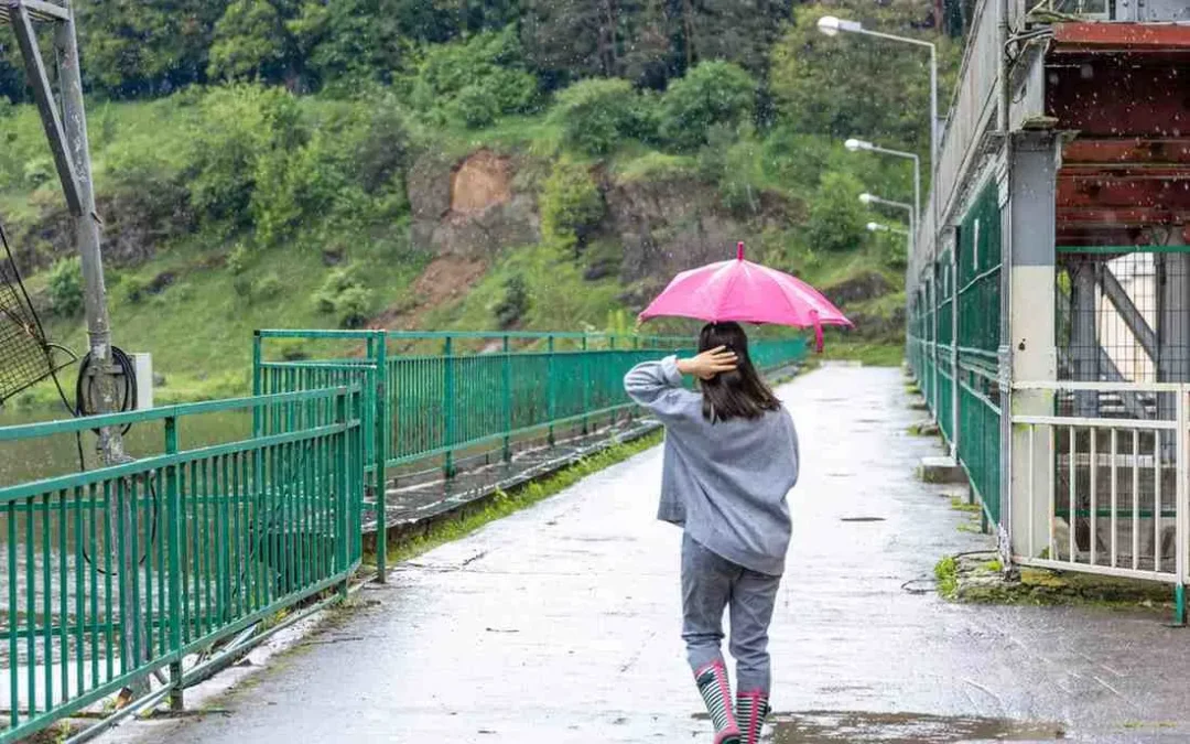 Venezuela Weather Secrets: When to Visit Angel Falls & Pack Like a Local (2025 Guide)