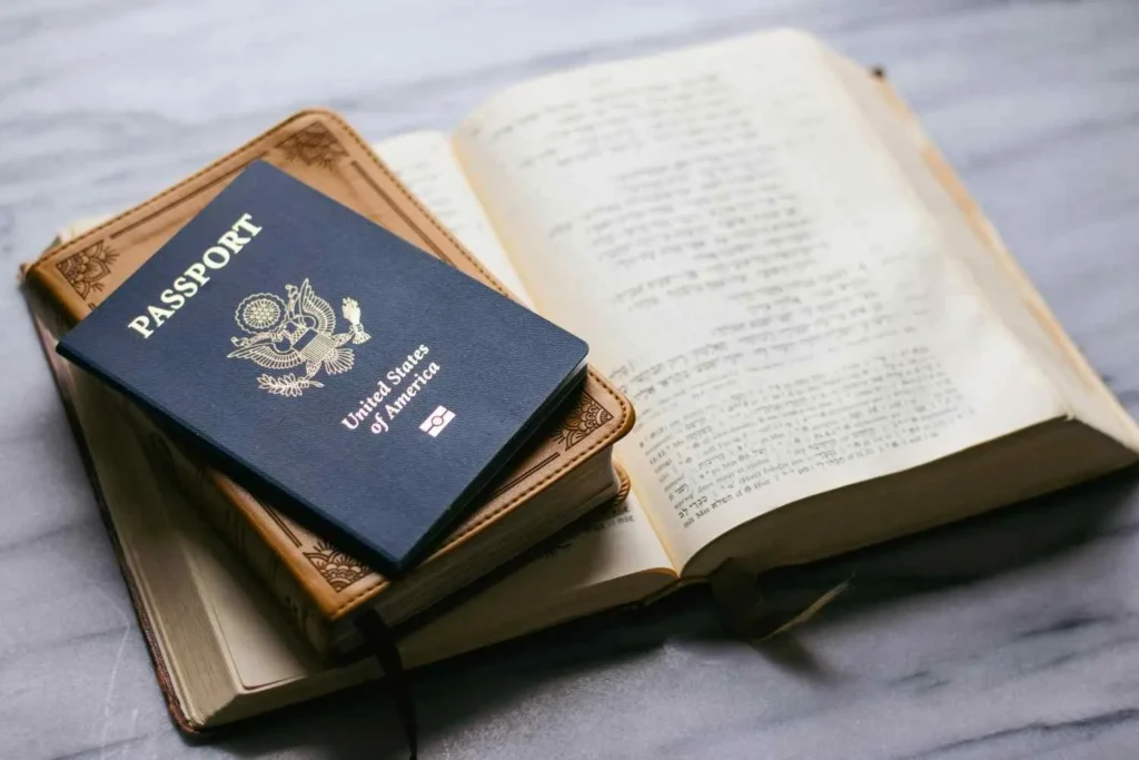 Visa Type Breakdown With Real Case Studies
