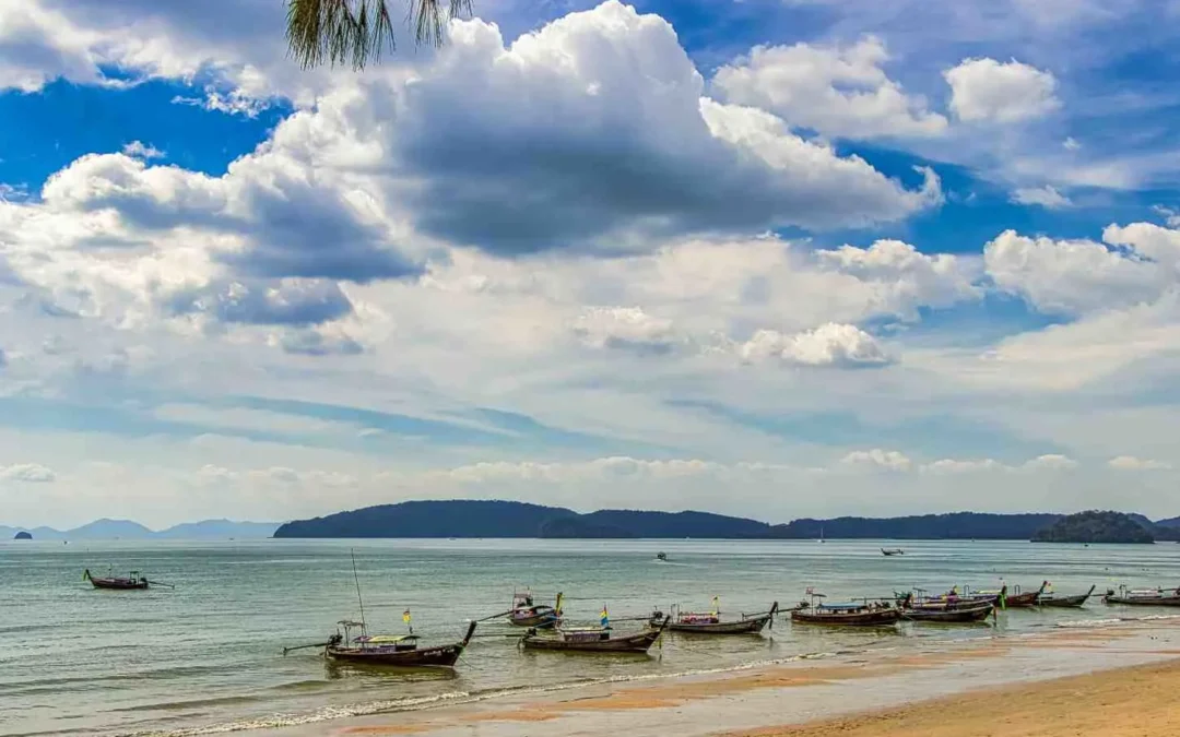 When is the Best Time to Visit Benin? The Ultimate 2025 Seasonal Guide