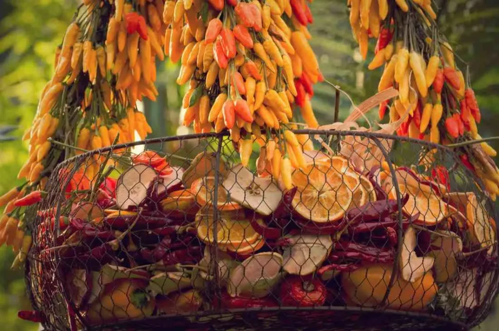 Autumn (September - October) The Crown Jewel for Food and Colour