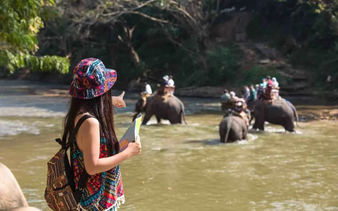 Best Time to Visit Botswana: Seasonal Safari Guide