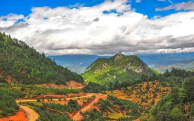 Best Time to Visit Cameroon: Complete Regional Season Guide