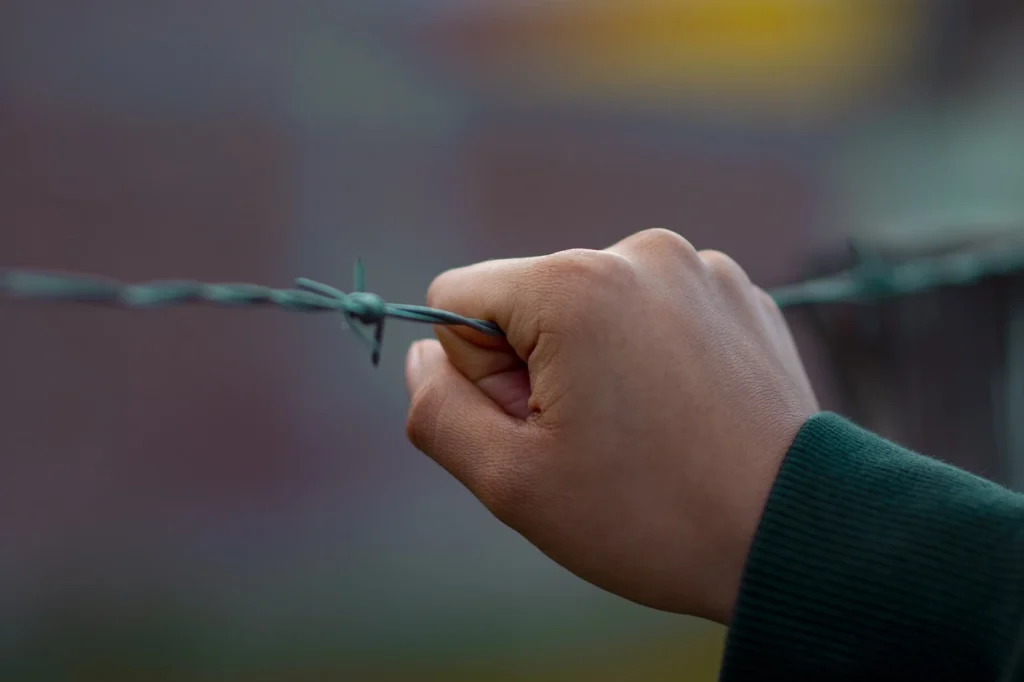 Comprehensive Visa Policy Breakdown