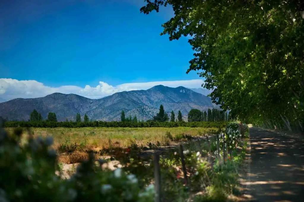 Mendoza Wine Country More Than Just Malbec