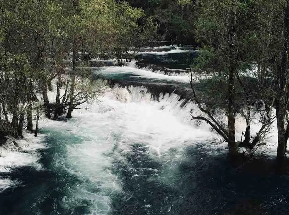 Moving with Nature's Flow