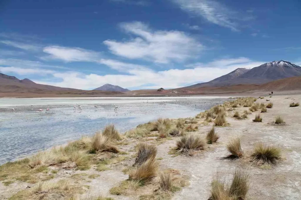 Northern Argentina Where the Heat Will Test Your Limits