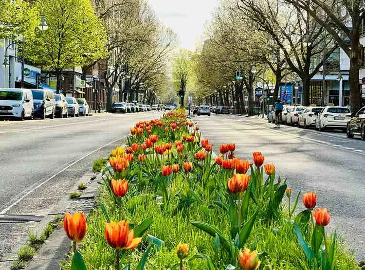 Spring (March - May) When Germany Wakes Up