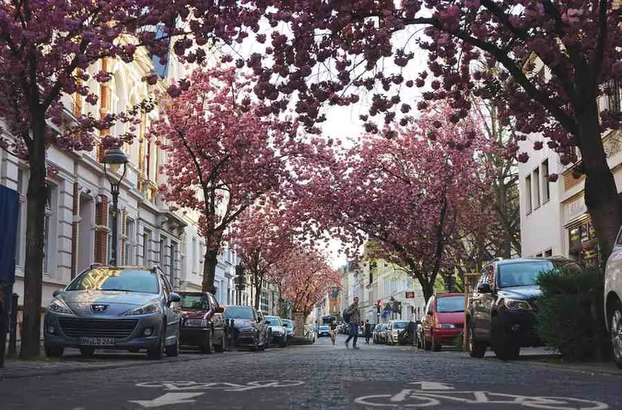 Spring (March–May) When France Wakes Up & Smiles