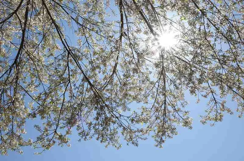 Summer's Heat April to May