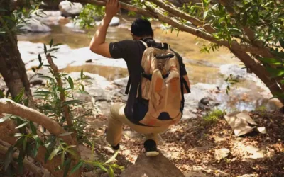 The Best Time to Visit Gabon: A Guide to Seasons & Wildlife