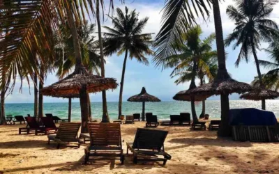 The Best Time to Visit Gambia: Seasons, Weather & Travel Tips