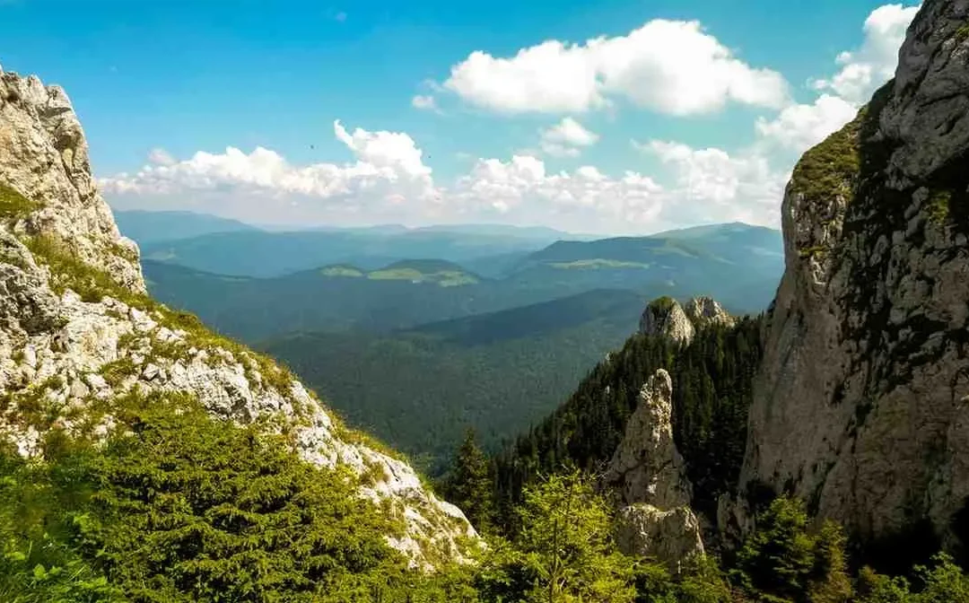 The Best Time to Visit Georgia: A Seasonal Travel Guide