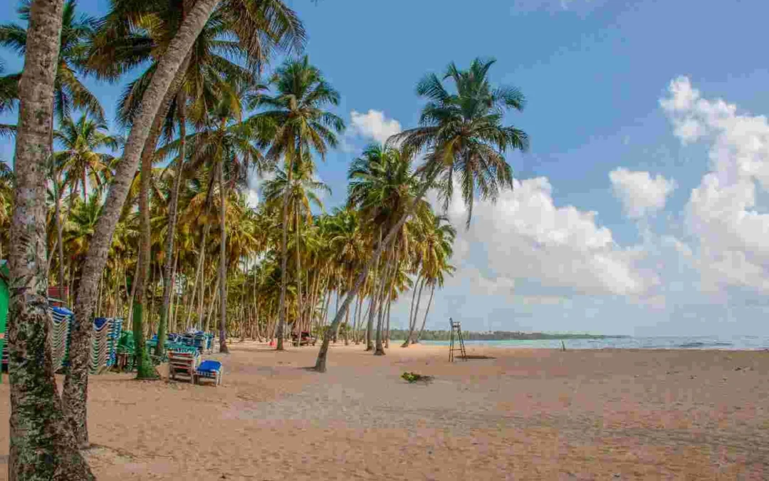 The Best Time to Visit Guinea-Bissau: A Seasonal Travel Guide