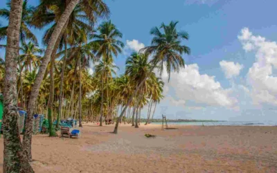 The Best Time to Visit Guinea-Bissau: A Seasonal Travel Guide