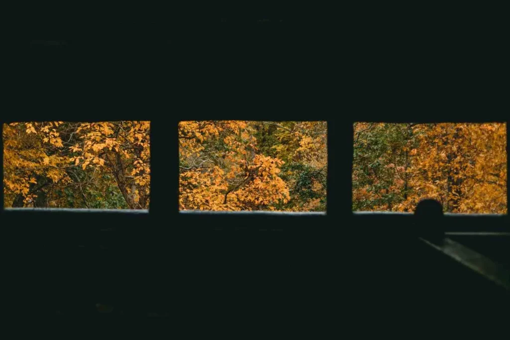 The Dry Season Adventure Window