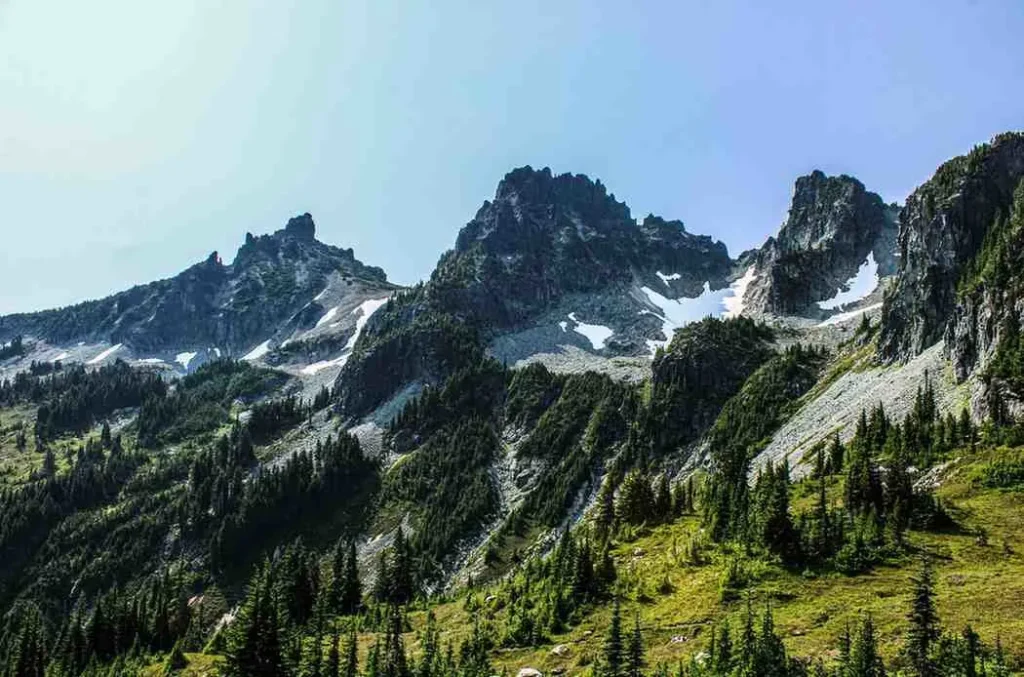 The Peak Season Summer (June - August)