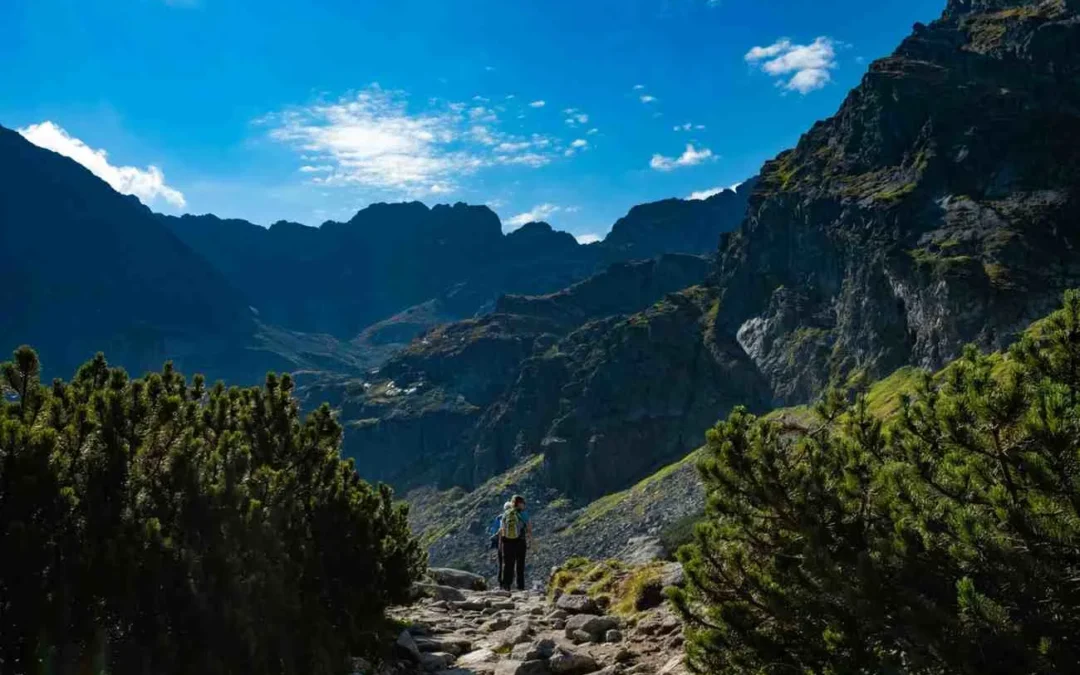 The Traveler’s Complete Guide to the Best Time to Visit Ethiopia