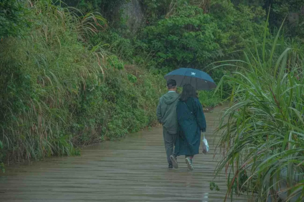 Understanding Gabon’s Climate It’s Not Just Rainy vs Dry