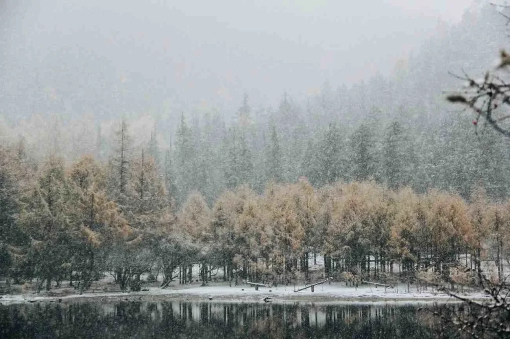 Understanding the Seasons