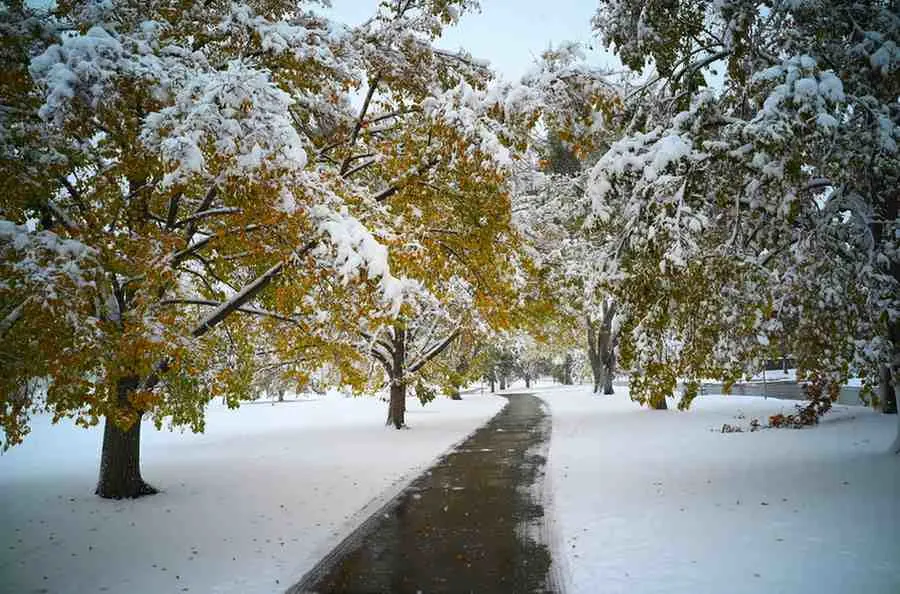 Why Seasons Mattered to the Habsburgs