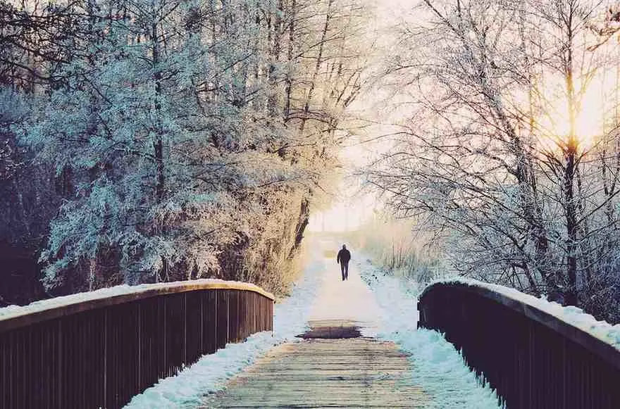 Winter Cold But Magic