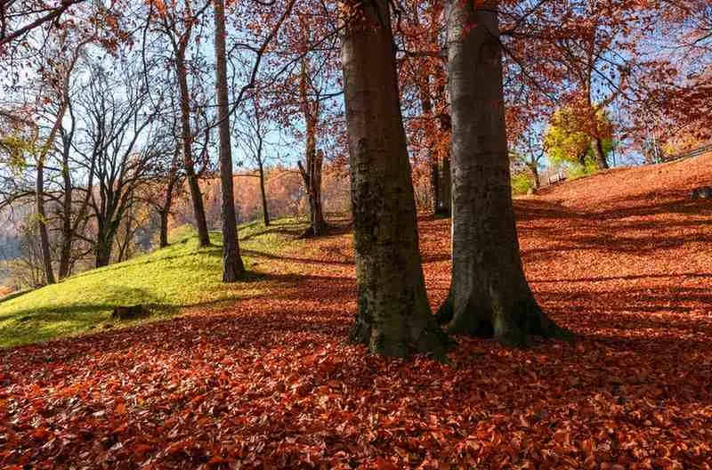 Autumn - Portugal's Secret Season (September to November)