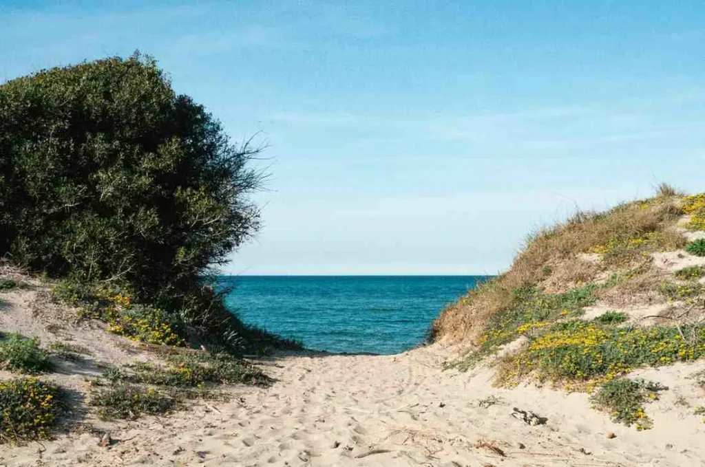 Beyond the Beach When to Go Wild Inland