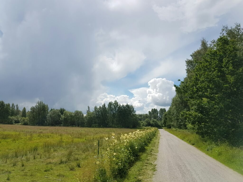 Different Areas, Different Weather