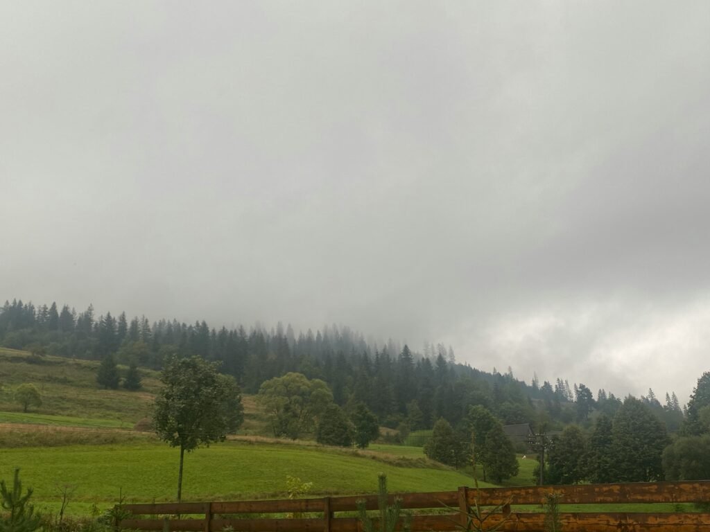 Different Areas, Different Weather