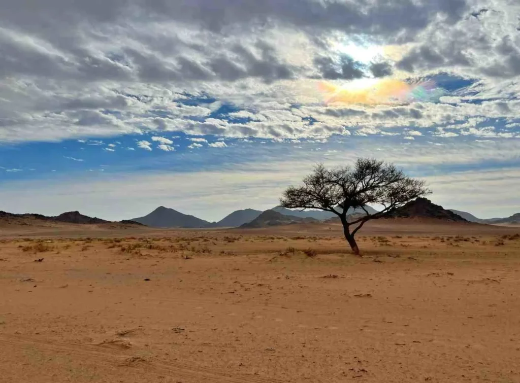 Dry Season Magic When Namibia Puts On Its Greatest Show (May-October)