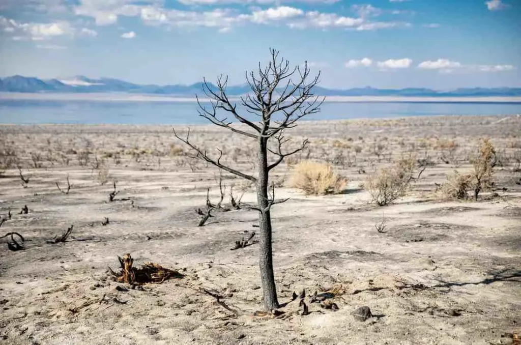 Dry Season Reality April to October